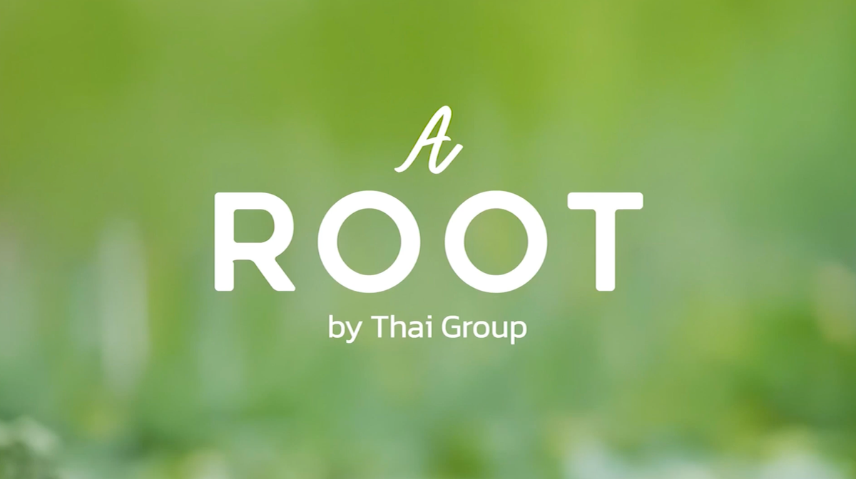 A ROOT by THAI GROUP ครั้งที่ 1